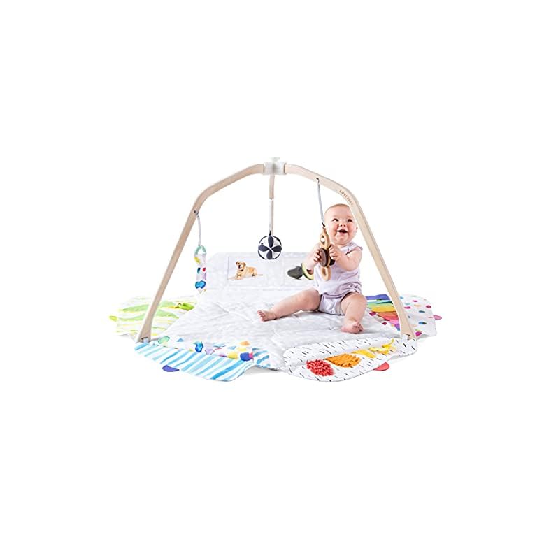 The Play Gym by Lovevery | Stage-Based Developmental Activity Gym & Play Mat for Baby to Toddler, 1 Count (Pack of 1)