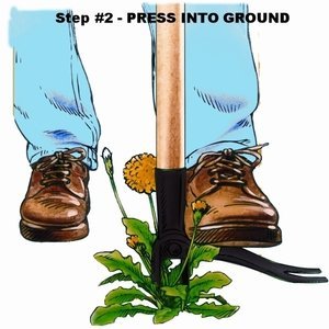 5 Grampas+Weeder+CW+01+Original+Remover