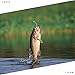 Erchang Fishing Hooks,Bass Fishing Tackle High Carbon Steel Senko Worms Assortment Bait Jig Cover Hooks with Plastic Box for Saltwater Freshwater
