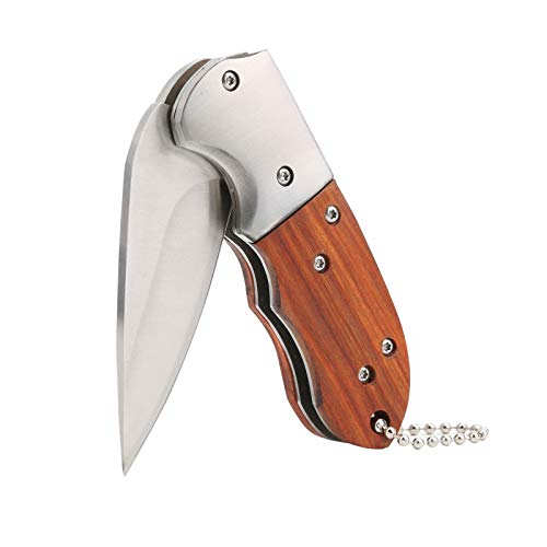 Folding Small Pocket Knife 3 inch Blade Frame Lock Outdoor Mini Pocket