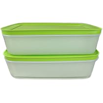 Tupperware Freezer Containers 1.0 L Green/White Flat (2) Ice