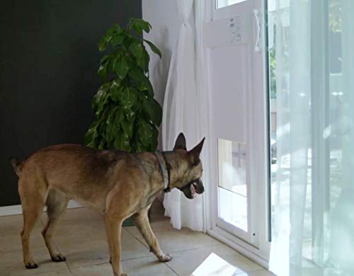 electronic dog door medium