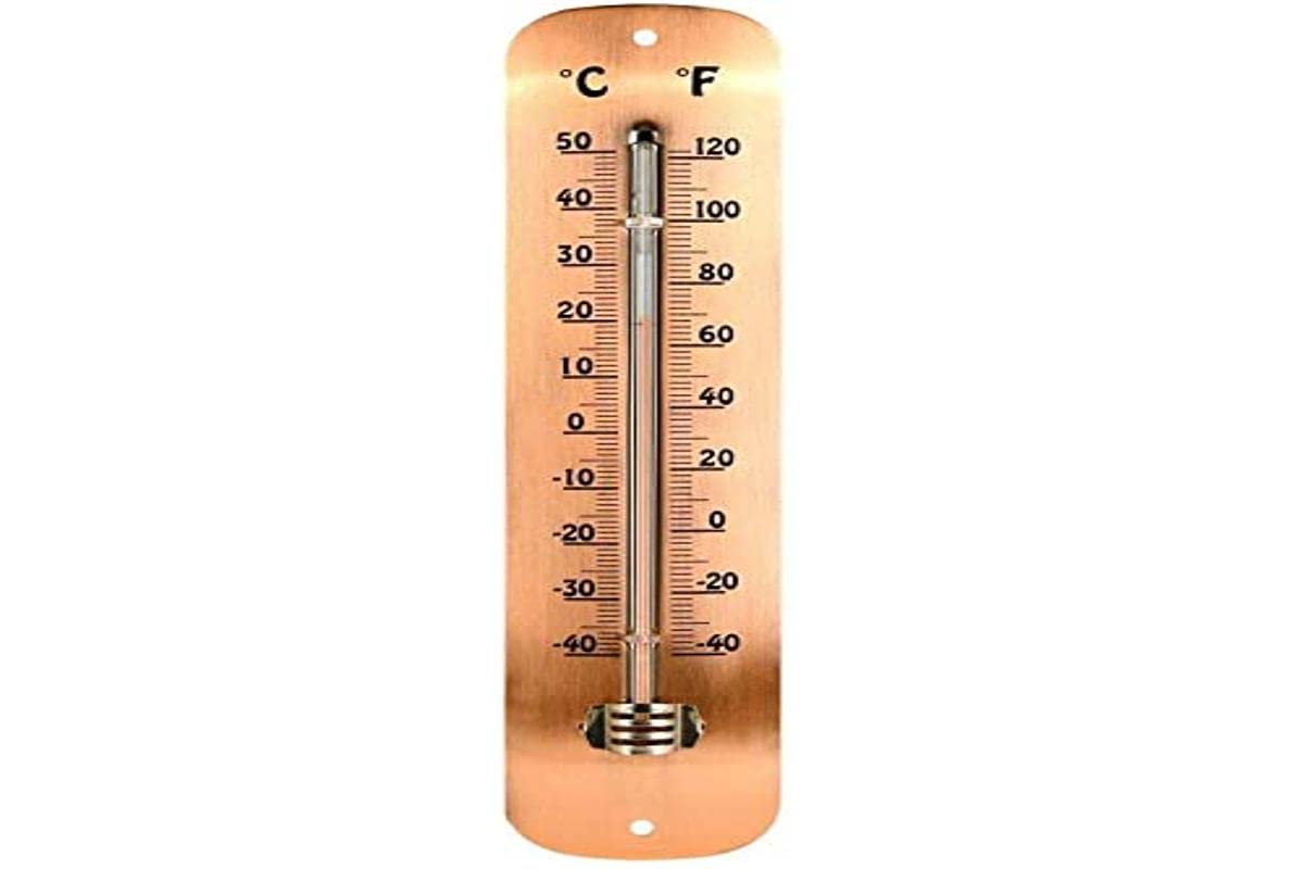 Fallen Fruits Thermometer Copper Plated