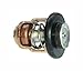 Yamaha New OEM THERMOSTAT 66M-12411-01-00