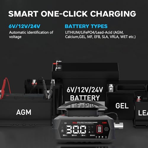 30A Car Battery Charger, Haisito 6V/12V/24V Charger and Holder for AGM Gel SLA EFB LiFePO4 9 Stage Auto Charger with LCD Display for Car Motorcycle