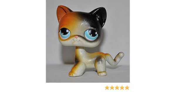 calico cat lps