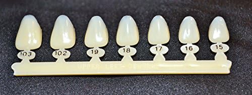 #9 Upper Left Central Anterior - Dental Polycarbonate Temporary Crowns 7 sizes