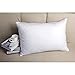 White Goose Feather Bed Pillow - 600 Thread Count Egyptian Cotton , Medium Firm,Soft Support Queen Size,White Solid,Package:include 1 pillow