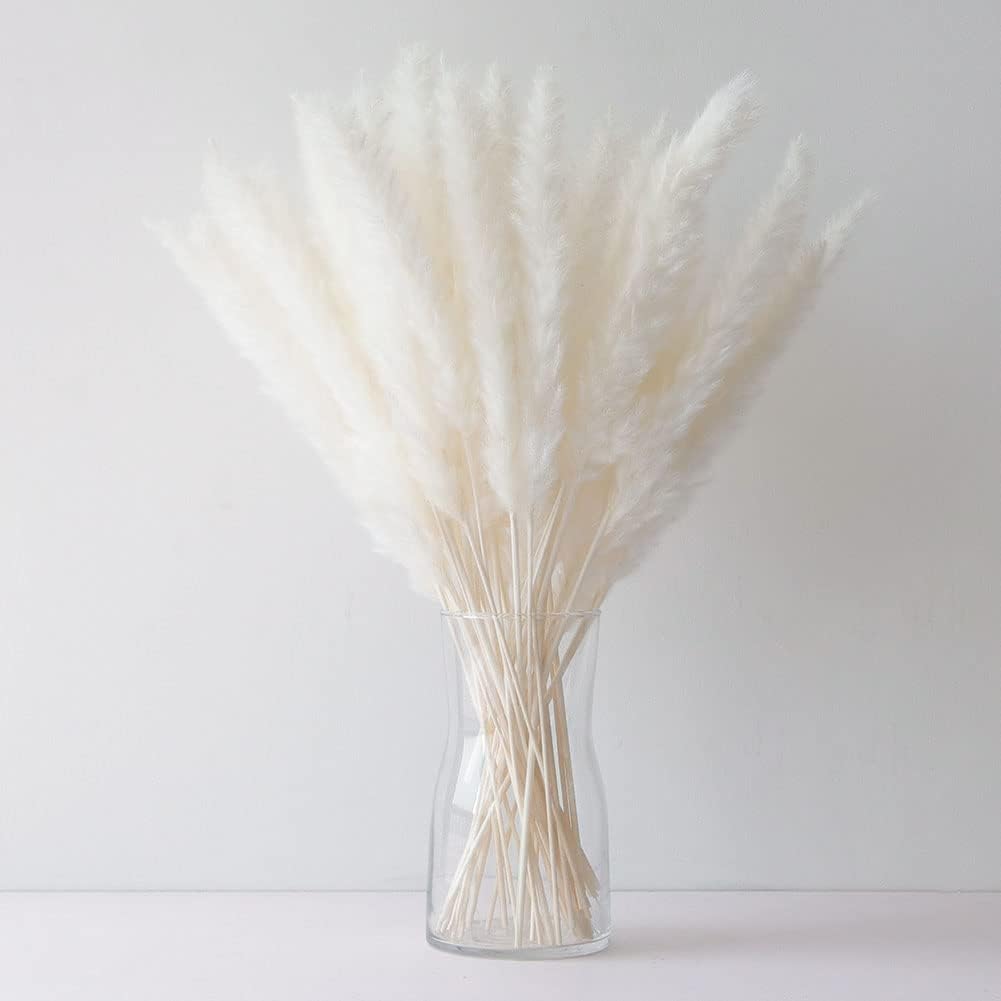 Dried & Preserved Flora - 17 Inch White Small Pampas Grass, 60pcs Short Dried Pompas Grass Bunch for Vase Filler, Flower Bouquet & Home, Bedroom, Living Room Decorations