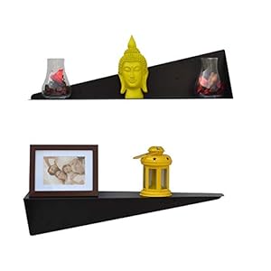 Townsville Veld Multipurpose Metal Steel Wall Shelf (Black , Set of 2 Shelves)