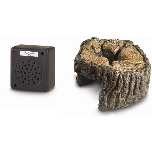 Compare price to fireplace crackle sound