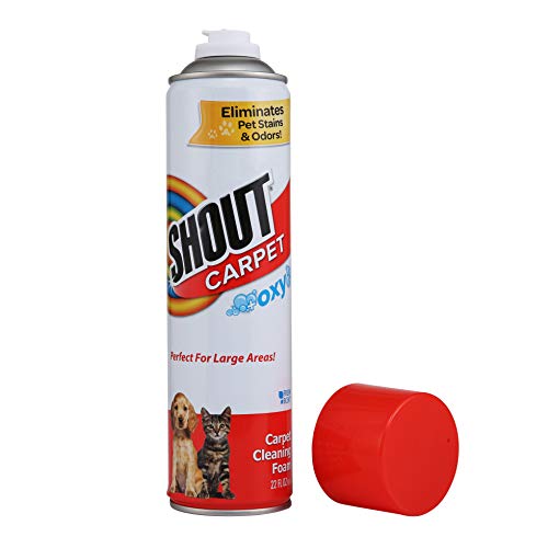 Shout Carpet Aerosol Stain and Odor Foaming Spray with OXY Power
