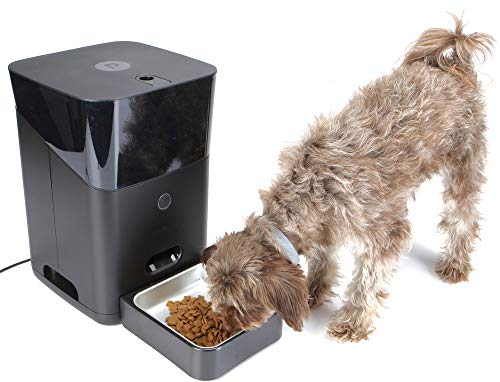 automatic dog feeder pet barn