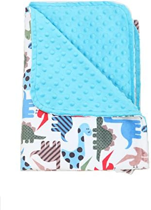 Nap Mat Carriers Toddler Blanket /Baby Blanket Minky (Blue) Dinosaurs