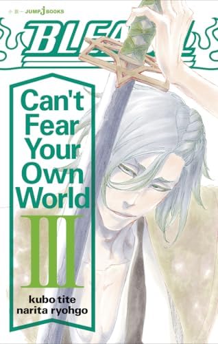 Amazon.com: BLEACH Can't Fear Your Own World 1 (JUMP j BOOKS