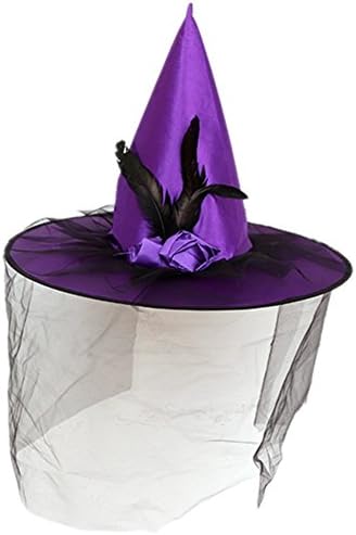 Halloween Costumes Women's Purple Feather Deluxe Adult Witch Hat