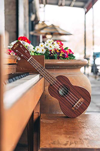 4 Kala+KA+15S+Mahogany+Soprano+Stronghold