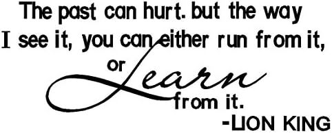 byyoursidedecal The Past can Hurt.but The Way i See it,You can Either ren from it Learn from it.Lion King Vinyl Wall Decal,Art Quotes Inspirational Sayings 9" high x 22.5" Wide
