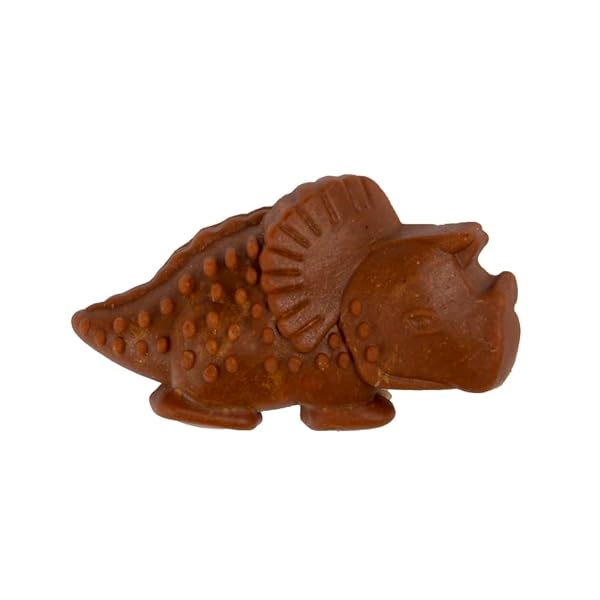 DREAMBONE NOVELTY SHAPED CHEWS, TREAT YOUR DOG TO A CHEW MADE WITH REAL MEAT AND VEGETABLES