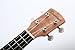SANDNER 21 inch ukulele U-21, sapele top