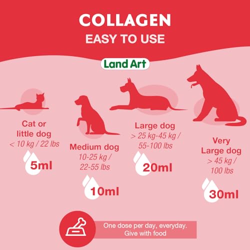 Pet Collagen Supplement - Grass Fed Beef Hydrolyzed - Natural Beef Flavour - Joint Care - Mobility & Health - Gluten, GMO & Sugar Free - for Dog & Cats - Made in Canada - 500ml