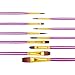 Purple Paint Brushes, heartybay Paint Brush Set Round Pointed Tip Nylon Hair Artist Acrylic Brush Watercolor Oil Painting (10pcs)