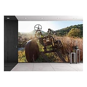 Antique Farm Equipment and Old Hay Rake at Sunrise, Italy - Removable Wall Mural | Self-Adhesive Large Wallpaper - 66x96 inches