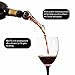 BlizeTec 2-in-1 Wine Aerator Pourer with Decanter Spout, Reusable Wine Stoppers and Exclusive Food Pairing Guide Included