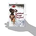 C4287XSG-B12 Box Set of 12 Dachshund Through The Snow Merry Christmas Greeting Cards; with Envelopes