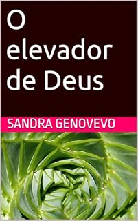 Livro O elevador de Deus