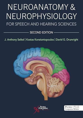 Clinical Neuroscience for Communication Disorders: Neuroanatomy