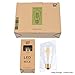 CRLight 6W Dimmable 700LM LED Edison Bulb 2700K Warm White, 60W Equivalent E26 Medium Base, ST21(ST64) Vintage LED Filament Bulbs, 360 Degrees Beam Angle, Pack of 3