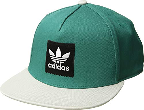 adidas skateboarding snapback