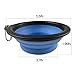 Arlei Pet Silicone Foldable Bowl - Retractable Travel Protable Water Bottle/Dish with a Metal Carabiner, Also Can Used as Flying Disc Toy for Dogs & Cats