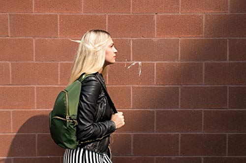 pacsafe stylesafe backpack