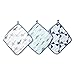 aden by aden + anais washcloths 3 pack, sky high