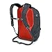 Osprey Packs Quasar Backpack - Anchor Grey, One Size