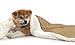 KritterWorld Pet Microplush Sherpa Snuggle Blanket, 50-Inch-by-60-Inch, Latte