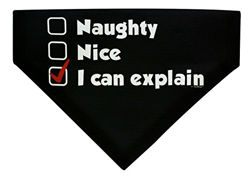 Christmas Gifts for Dogs I Can Explain Nice Naughty List Christmas Outfit for Dogs Small Dog Bandana Scarf for Dogs Bib I Can Explain