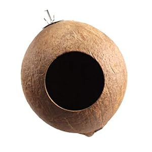 Balacoo Nido di Uccello Domestico Delicato Ciondolo Conchiglia di Cocco Naturale Nido di Uccello Artigianato Nido… - immagine 7