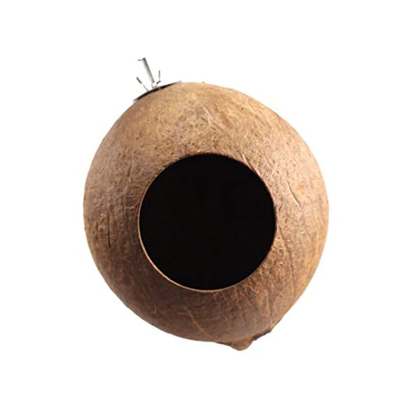 Balacoo Nido di Uccello Domestico Delicato Ciondolo Conchiglia di Cocco Naturale Nido di Uccello Artigianato Nido…