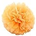 25PCS Happy Halloween Banner Kit with 6 Pompom Flower Tissue Paper and 18 Paper tassel, All Saints' Day Decor Supplies for Halloween Party Home Decorations