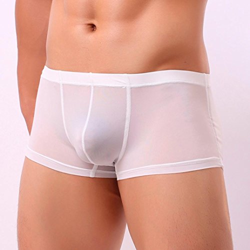 Men Transparent Underwear Boxer ,Vanvler Sexy Male Briefs Shorts Bulge Pouch Underpants (White, M)