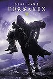 Destiny 2: Forsaken - Gaming Poster (Game Cover/Key Art) (Size: 24