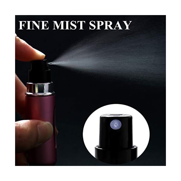 Wendergo Perfume Atomiser Refillable 5 Pcs Travel Perfume Bottle Mini 5 ML Atomizer Spray Bottle Portable Empty…