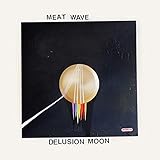 DELUSION MOON                                      image