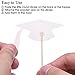 GLEIM Graduation Cupcake Toppers, Mini Cake Decorations for 2019 Congrats Grad Party Supplies (48 Pieces)