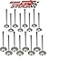 Elgin Industries (Elgin, IL USA) Stainless Steel Valves compatible with Chevy 283 327 350 400. Head Diameter 1.94