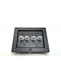 SMD 2 canales Heavy Duty Terminal de altavoz (inoxidable) (3 4" PVC negro)