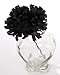 Larksilk Black 3.5
